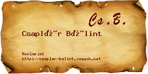 Csaplár Bálint névjegykártya